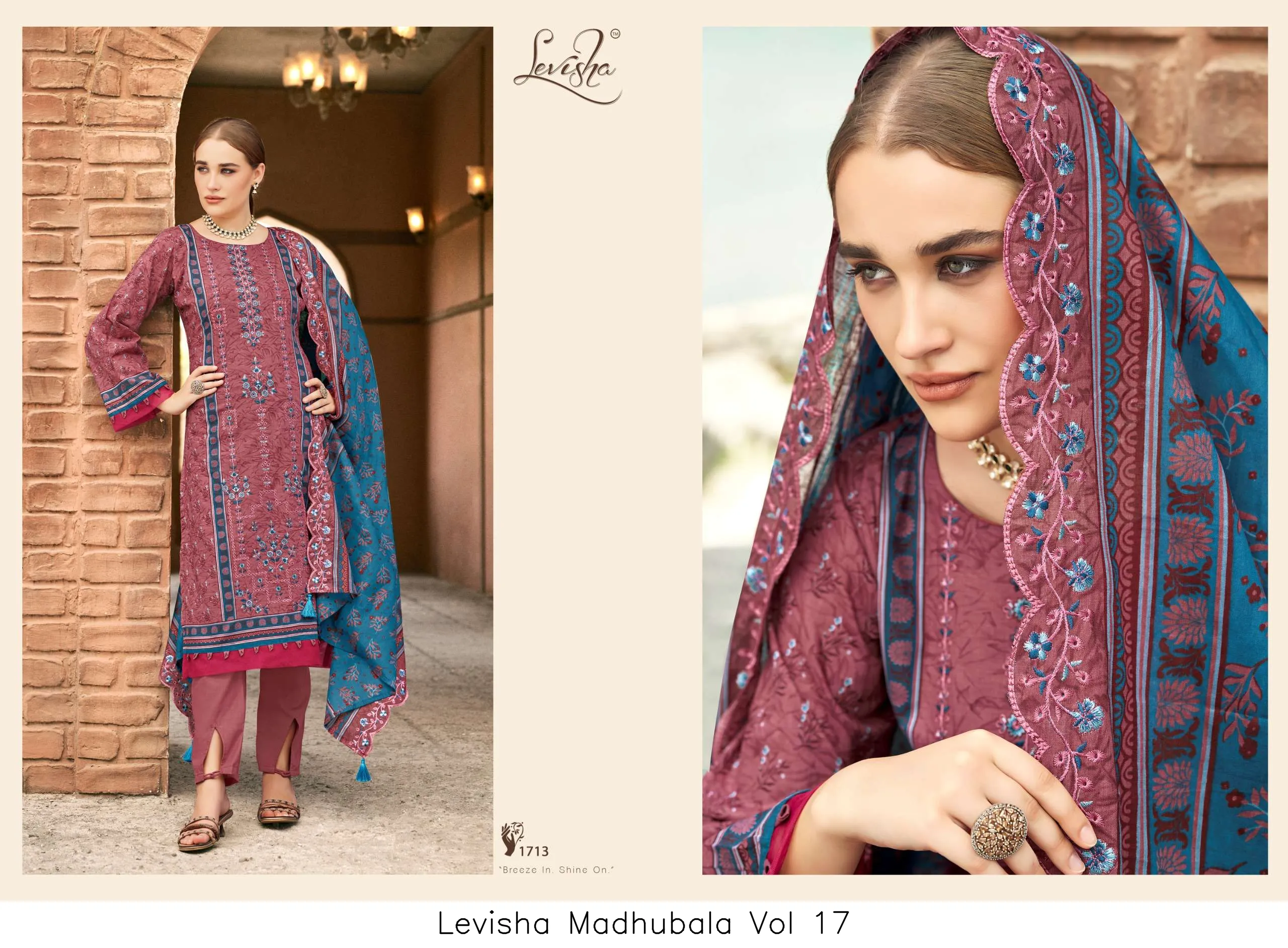 Levisha Madhubala Vol 17 - Image 4