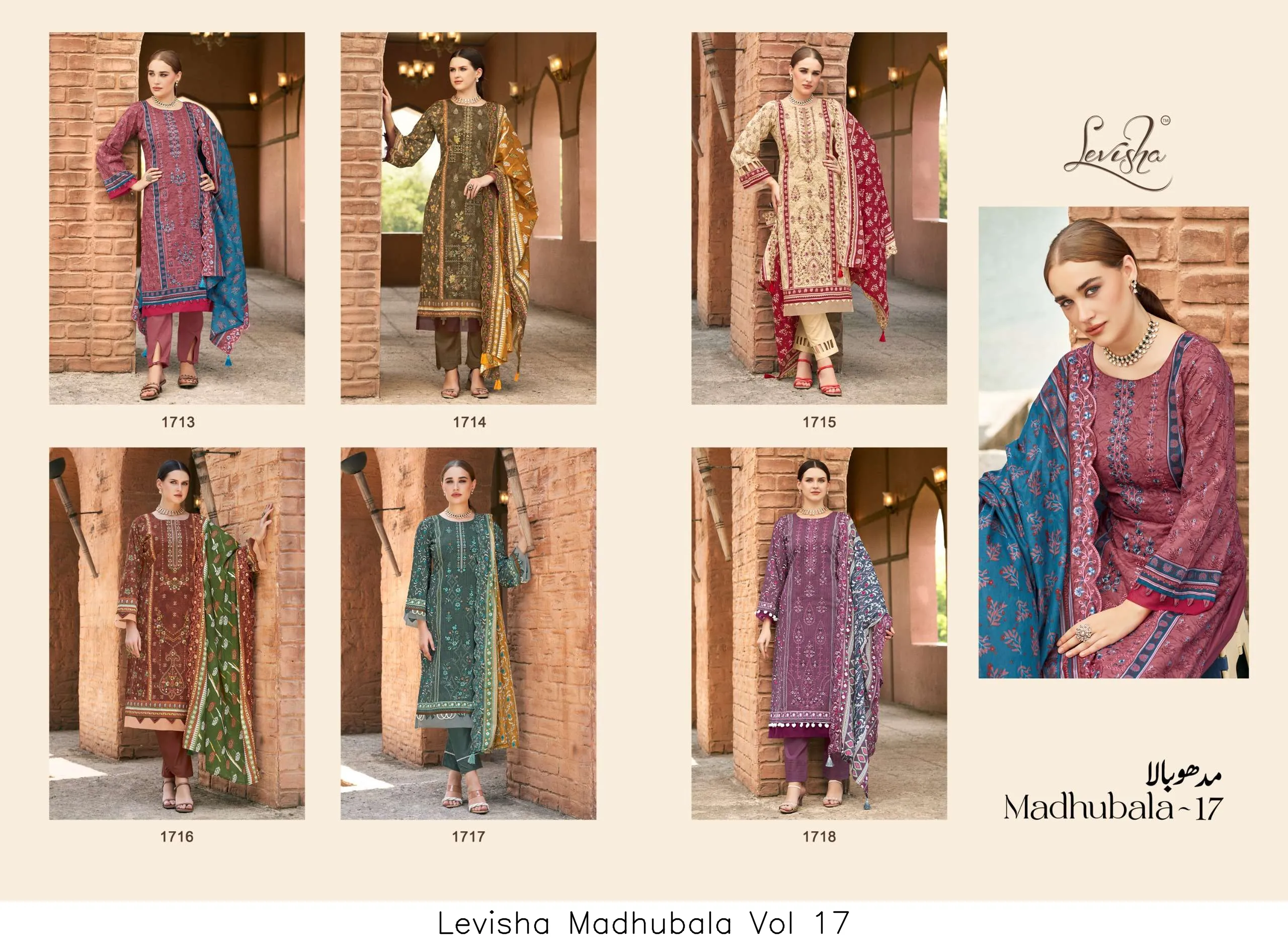 Levisha Madhubala Vol 17 - Image 8