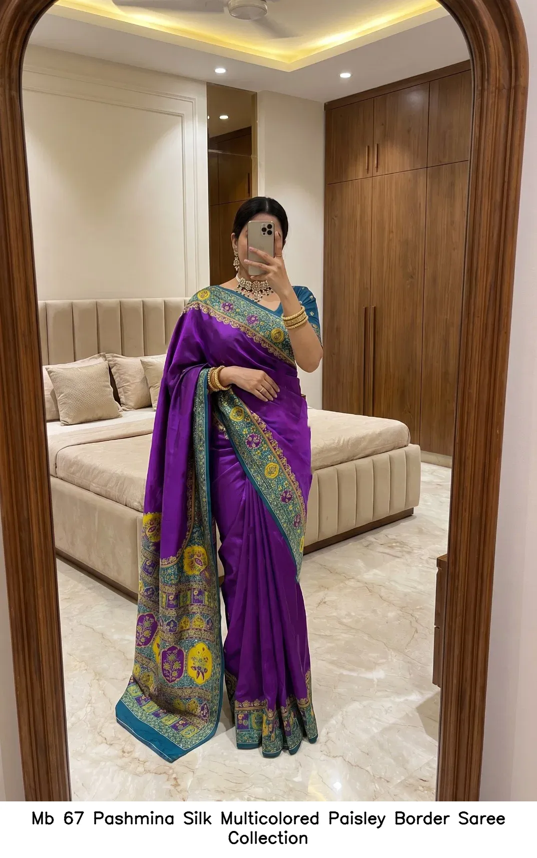 Mb 67 Pashmina Silk Multicolored Paisley Border Saree Collection - Image 5