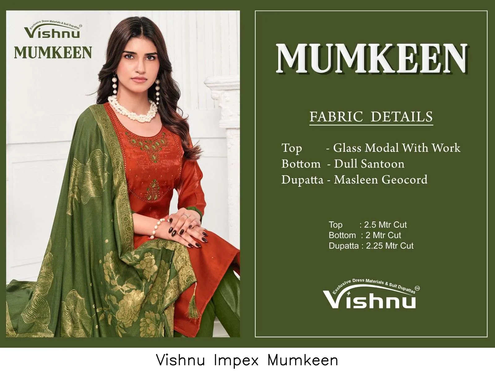 Vishnu Impex Mumkeen - Image 13