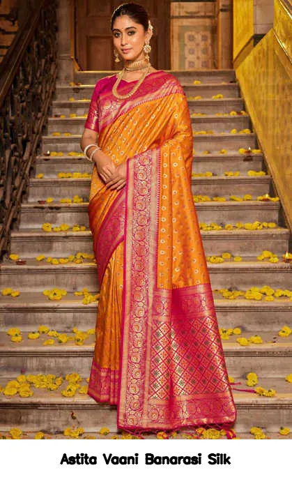 Astita Vaani Banarasi Silk