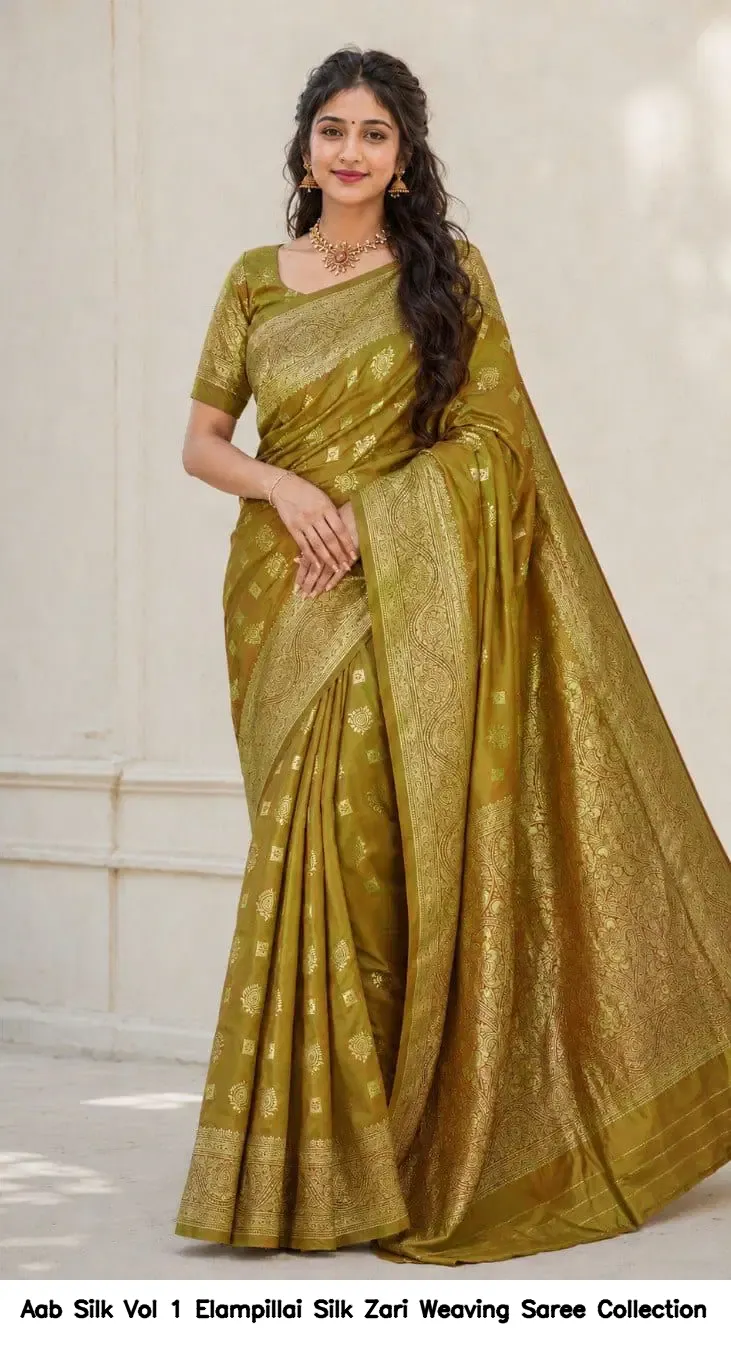 Aab Silk Vol 1 Elampillai Silk Zari Weaving Saree Collection