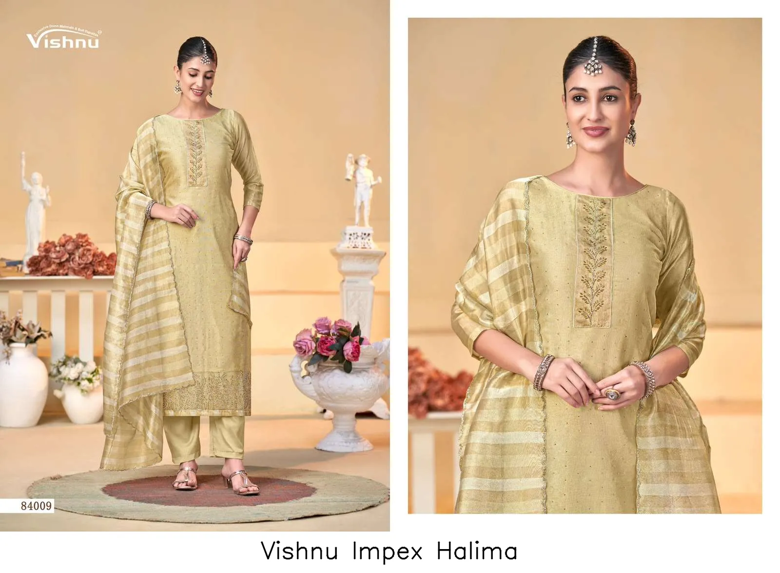 Vishnu Impex Halima - Image 10
