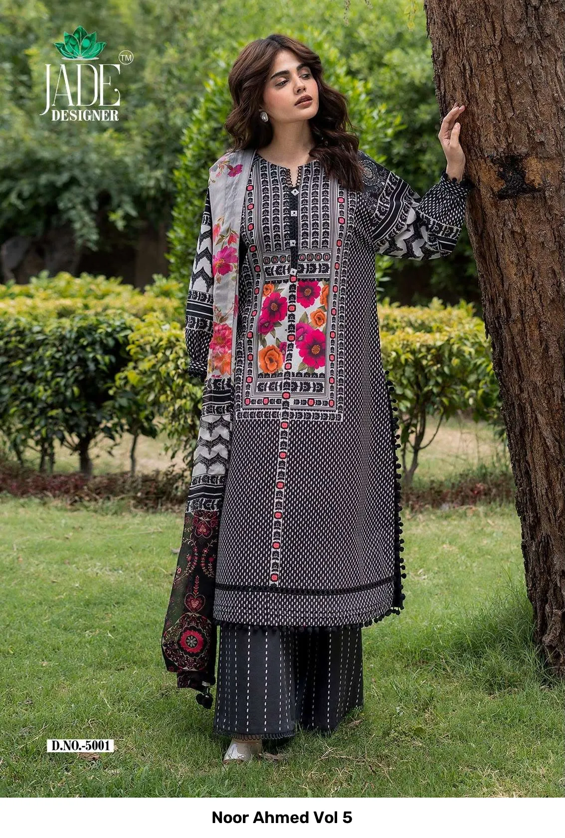 Noor Ahmed Vol 5 - Image 8