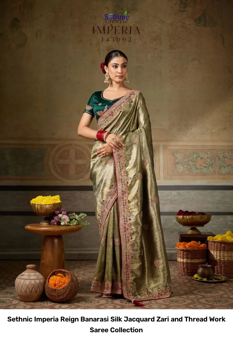 Sethnic Imperia Reign Banarasi Silk Jacquard Zari and Thread Work Saree Collection - Image 9