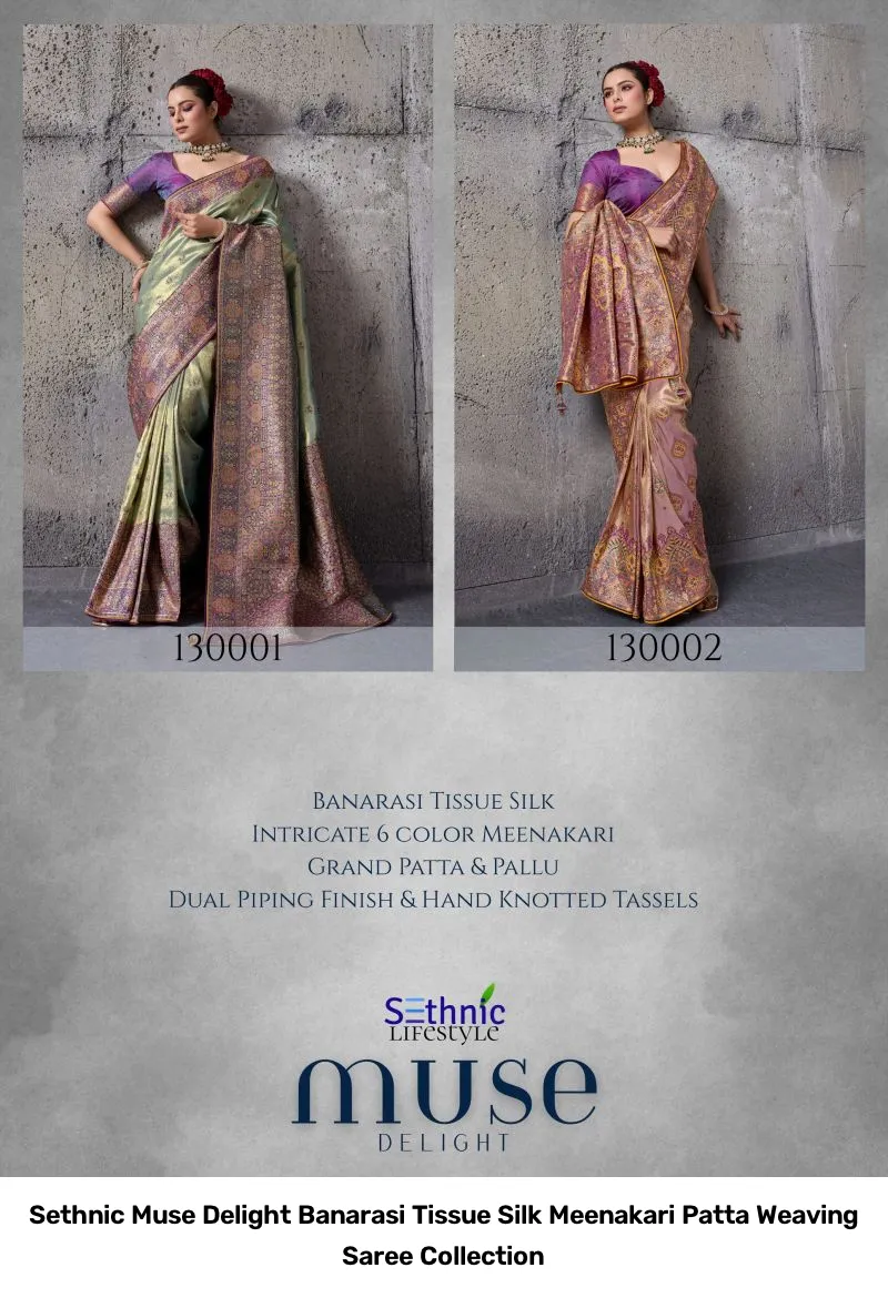 Sethnic Muse Delight Banarasi Tissue Silk Meenakari Patta Weaving Saree Collection - Image 6